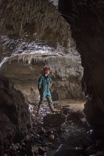 Thumbnail of photo from this article